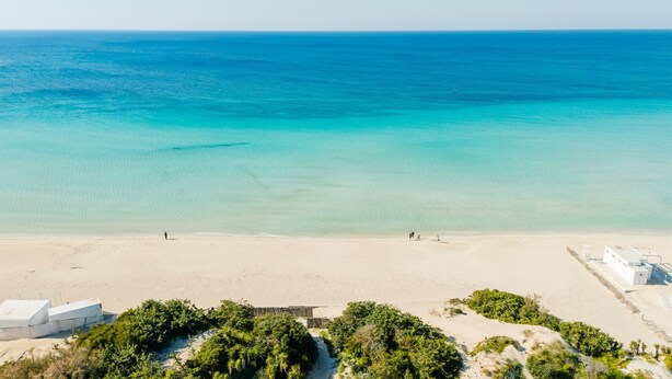 Vista de una playa con arena, algunas personas y edificios.