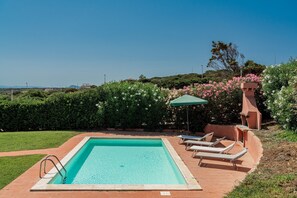 Ein rechteckiger Swimmingpool mit einer gefliesten Liegefläche, umgeben von Grün und blauem Himmel.