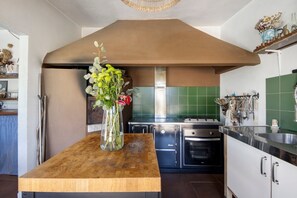 Fridge, oven, stovetop, coffee/tea maker