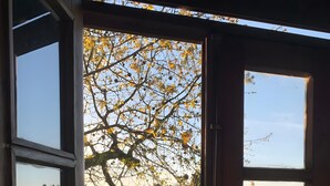 A view through a window with a pool and trees, a wooden door, and a clear sky. - Holiday Home 'Casa Chocolate' with Mountain Views, Private Pool and Wi-Fi (Porto)