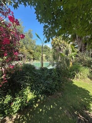 Property grounds - Wonderful large family cottage (Curacavi-Lolenco)