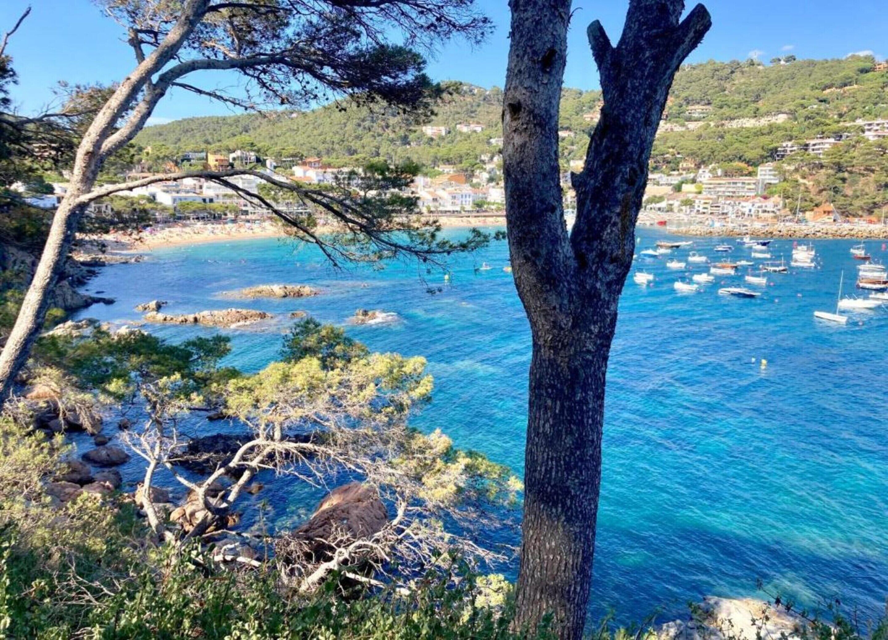 Vista desde la propiedad
