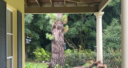 4 Bedroom family size Homestead with pool