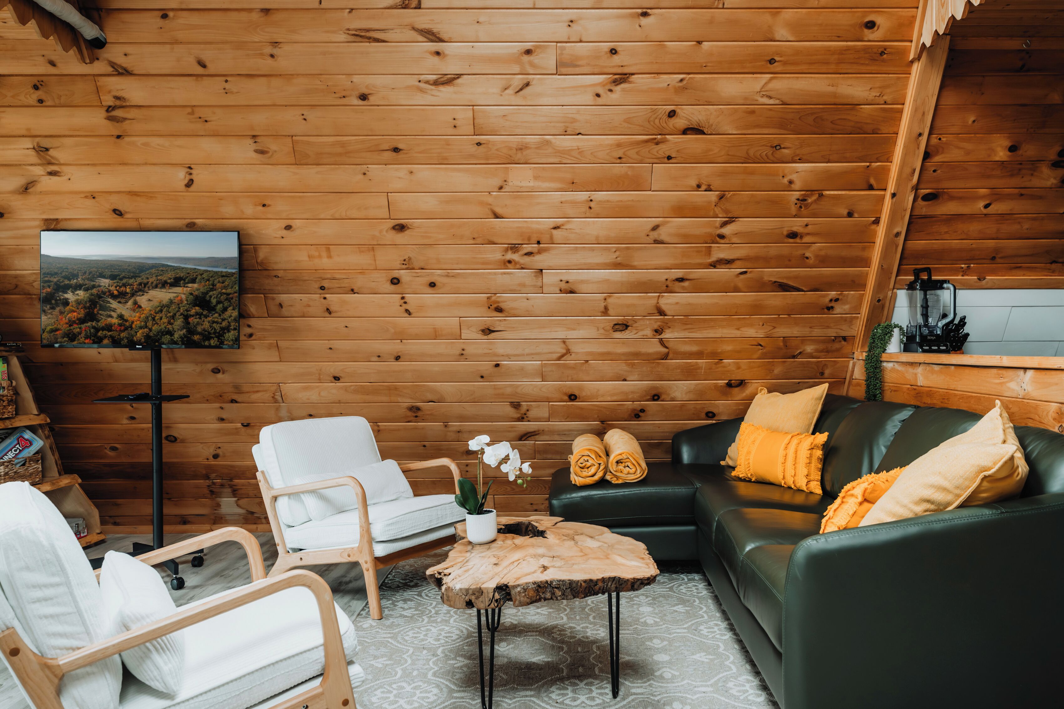 Smart TV, fireplace, books