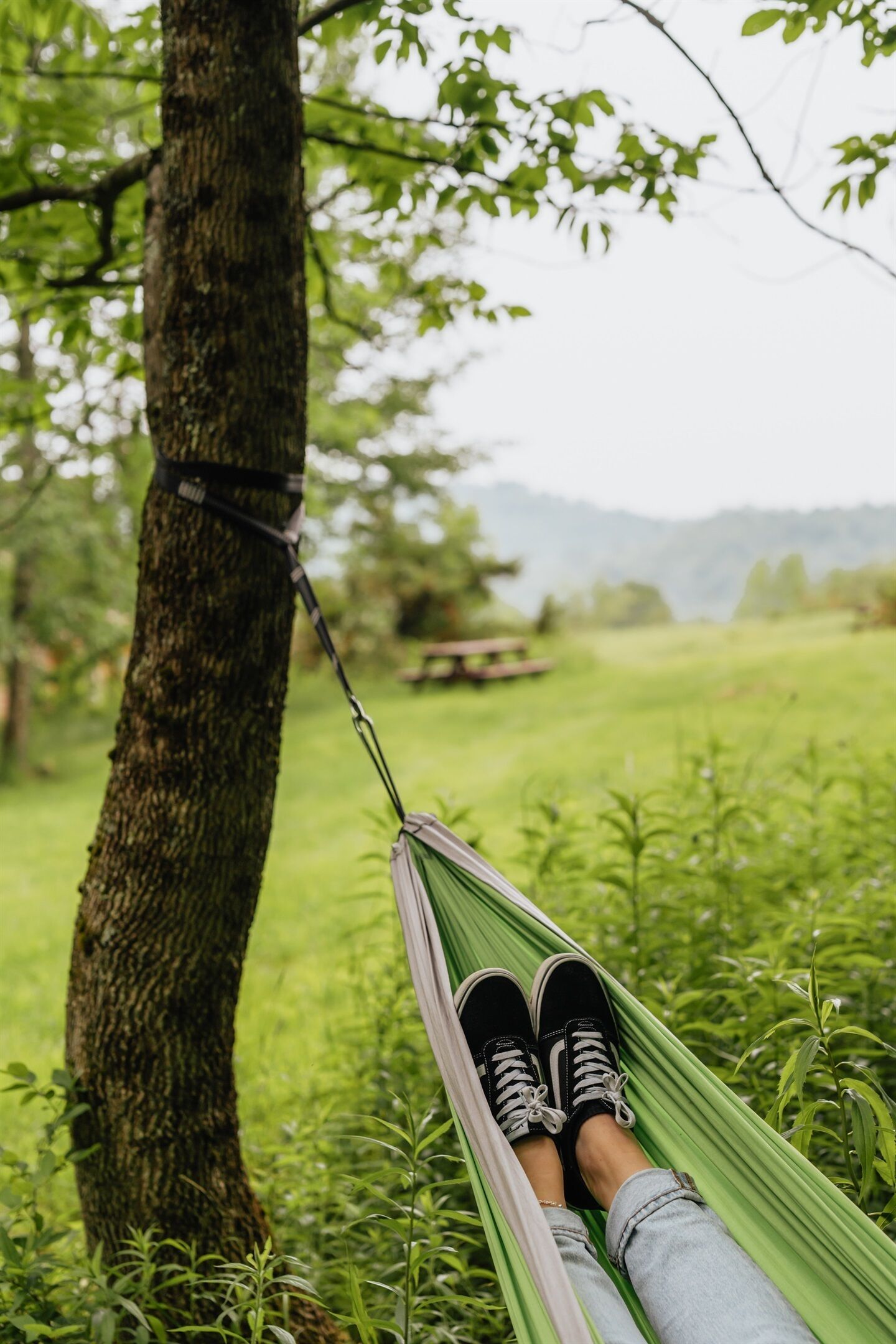Un hamac est tendu entre deux arbres dans une zone herbeuse, avec une table de pique-nique en arrière-plan.