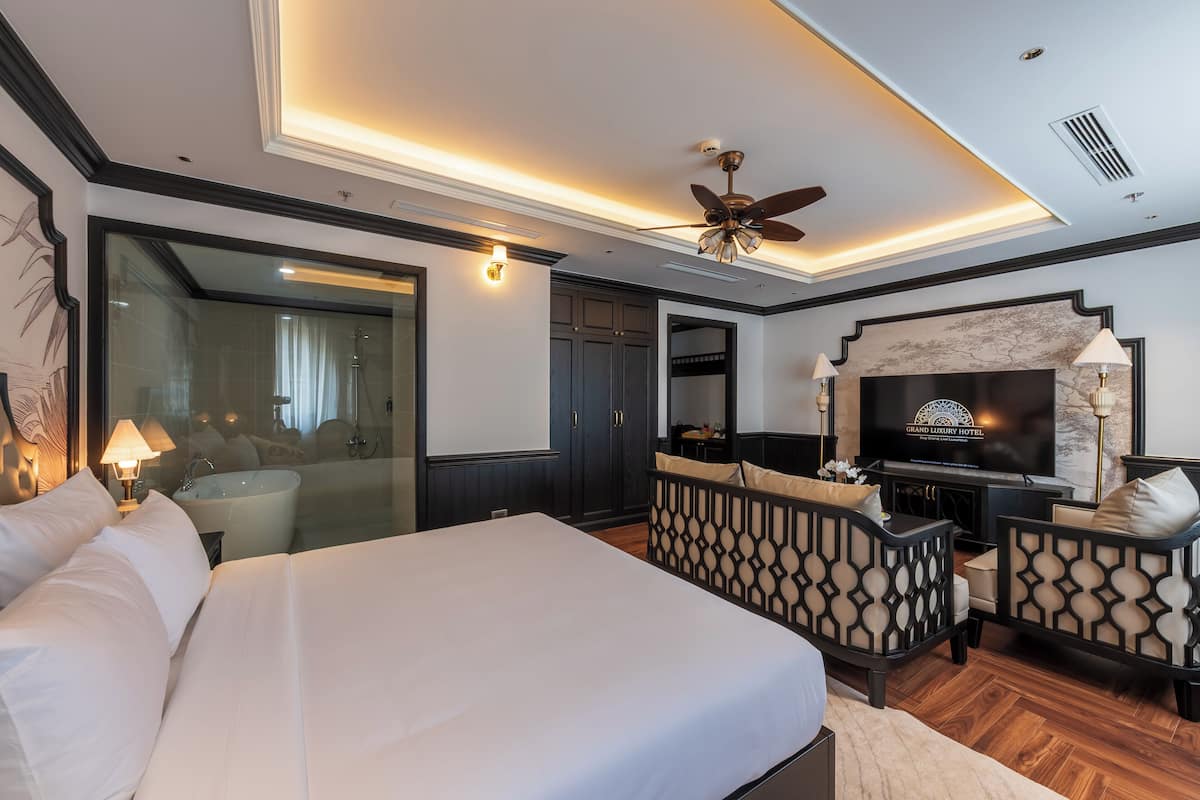 A hotel room with a bed, a TV, a ceiling fan, a shower, and a seating area.
