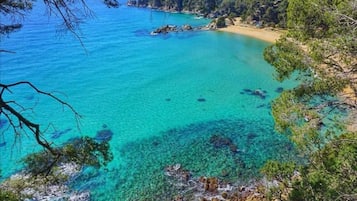 Vila | Vista da propriedade