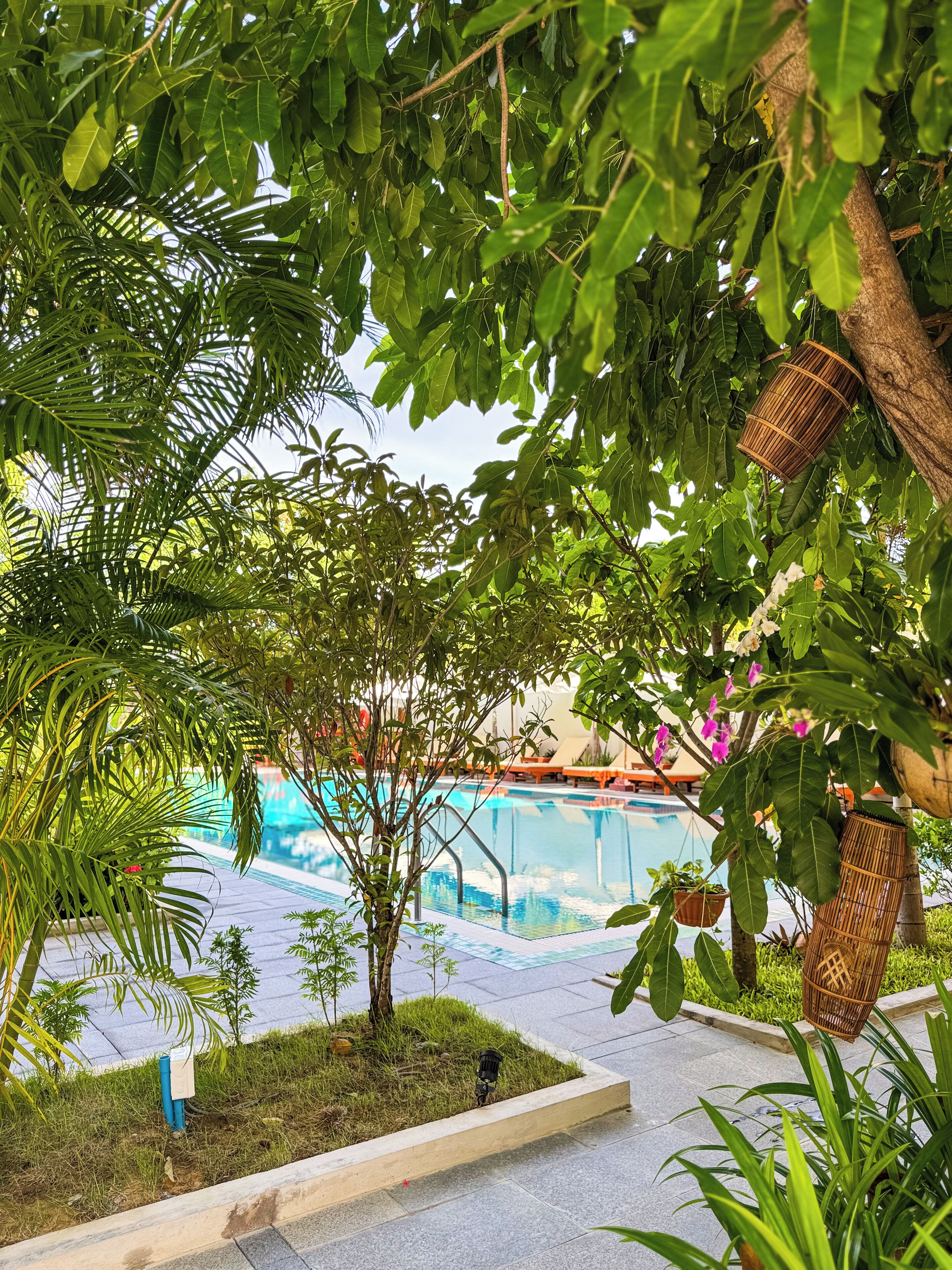 A pool area with a clear view of the pool, surrounded by lush greenery and a hanging basket.