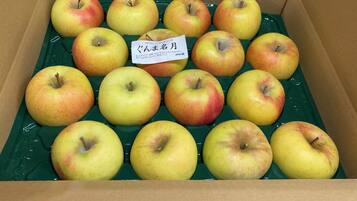 Una caja de cartón con bandejas de plástico verde y manzanas amarillas.