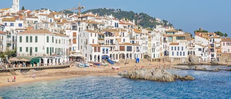 Vista desde la propiedad