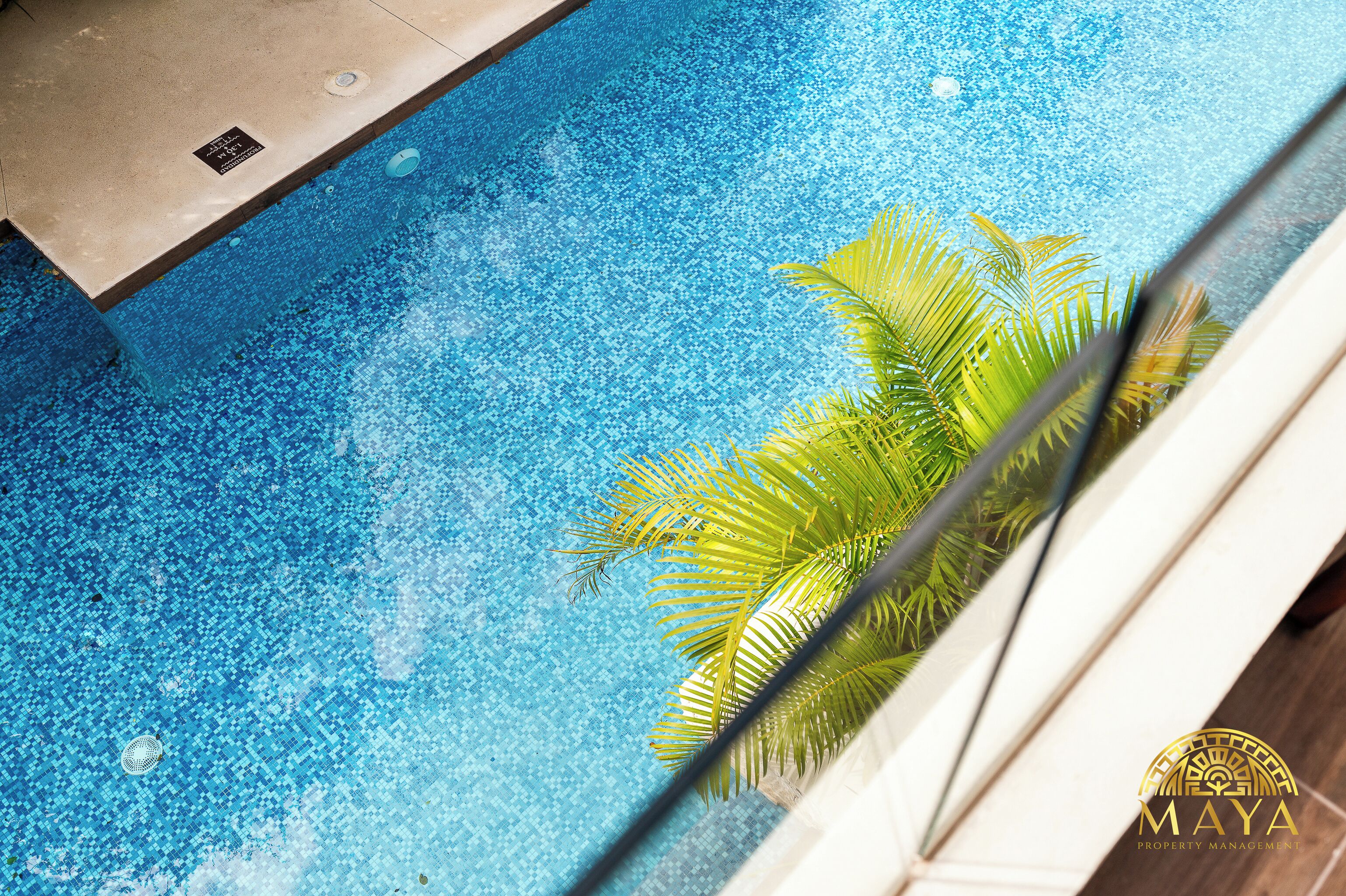Una piscina con una palmera y un cartel que indica una categoría de tres estrellas.