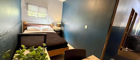 A compact room with a bed, a small table, and a potted plant.