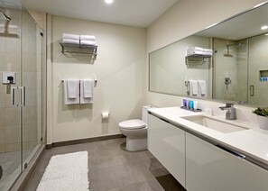 Hair dryer, towels, soap, toilet paper