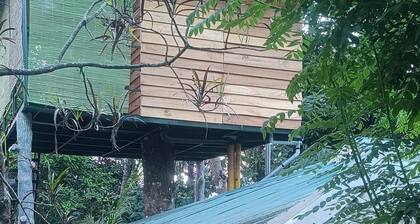 6-bedroom bed & breakfast in gorgeous Kumily, thekkady with WiFi