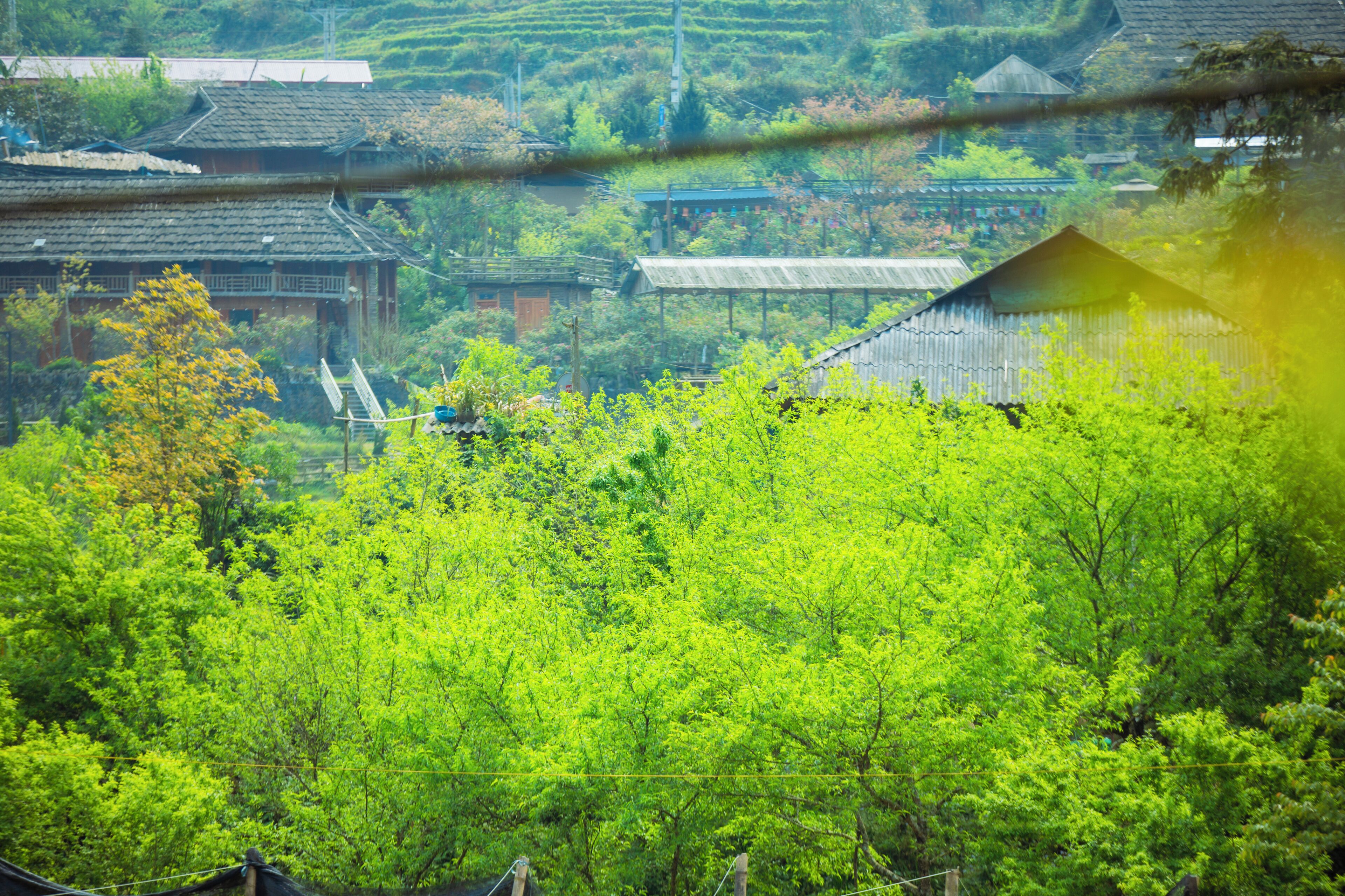 A traditional Japanese village with wooden houses and lush greenery.