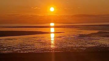 Vlak bij het strand