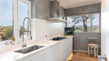 Vila | Dapur pribadi