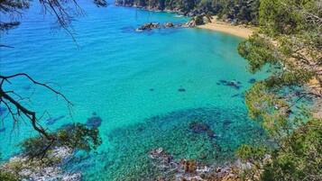 Biệt thự | Quang cảnh nhìn từ nơi lưu trú