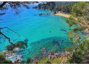 Paisaje costero con aguas turquesas cristalinas, afloramientos rocosos y vegetación densa.