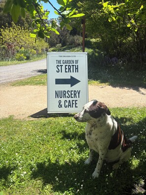 Áreas de la propiedad