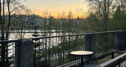 Historical 1BR Penthouse with Sauna and Free Parking