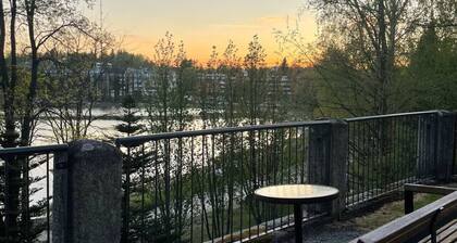 Historical 1BR Penthouse with Sauna and Free Parking