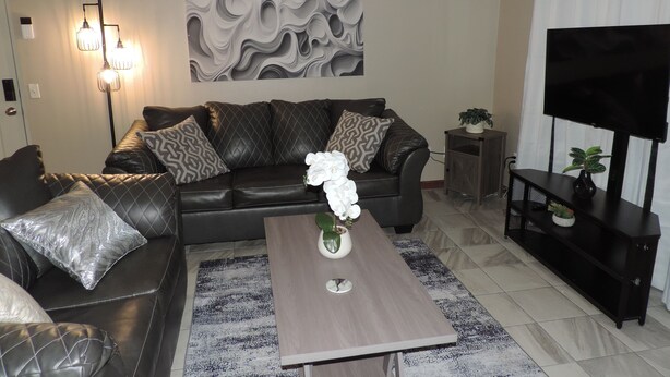 A living room with a black leather sofa, patterned cushions, a wall-mounted abstract art piece, a small potted plant, a TV on a stand, and a coffee table with a vase of flowers. - Urban Oasis in the Heart of OKC (Oklahoma City)