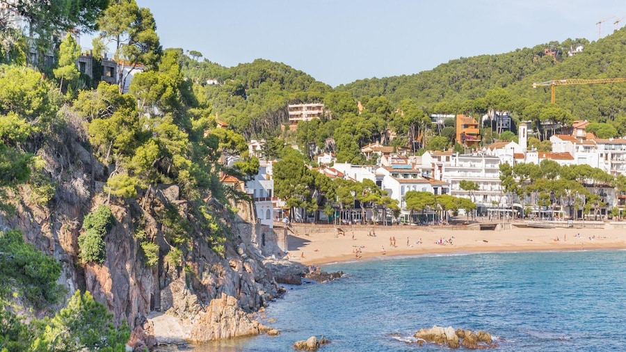 Apartment in Llafranc by the Sandy Beach