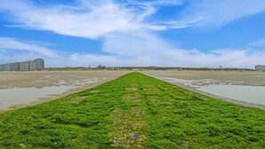 A coastal view with a green seaweed-covered path leading to a beach, buildings in the background, and a clear sky.