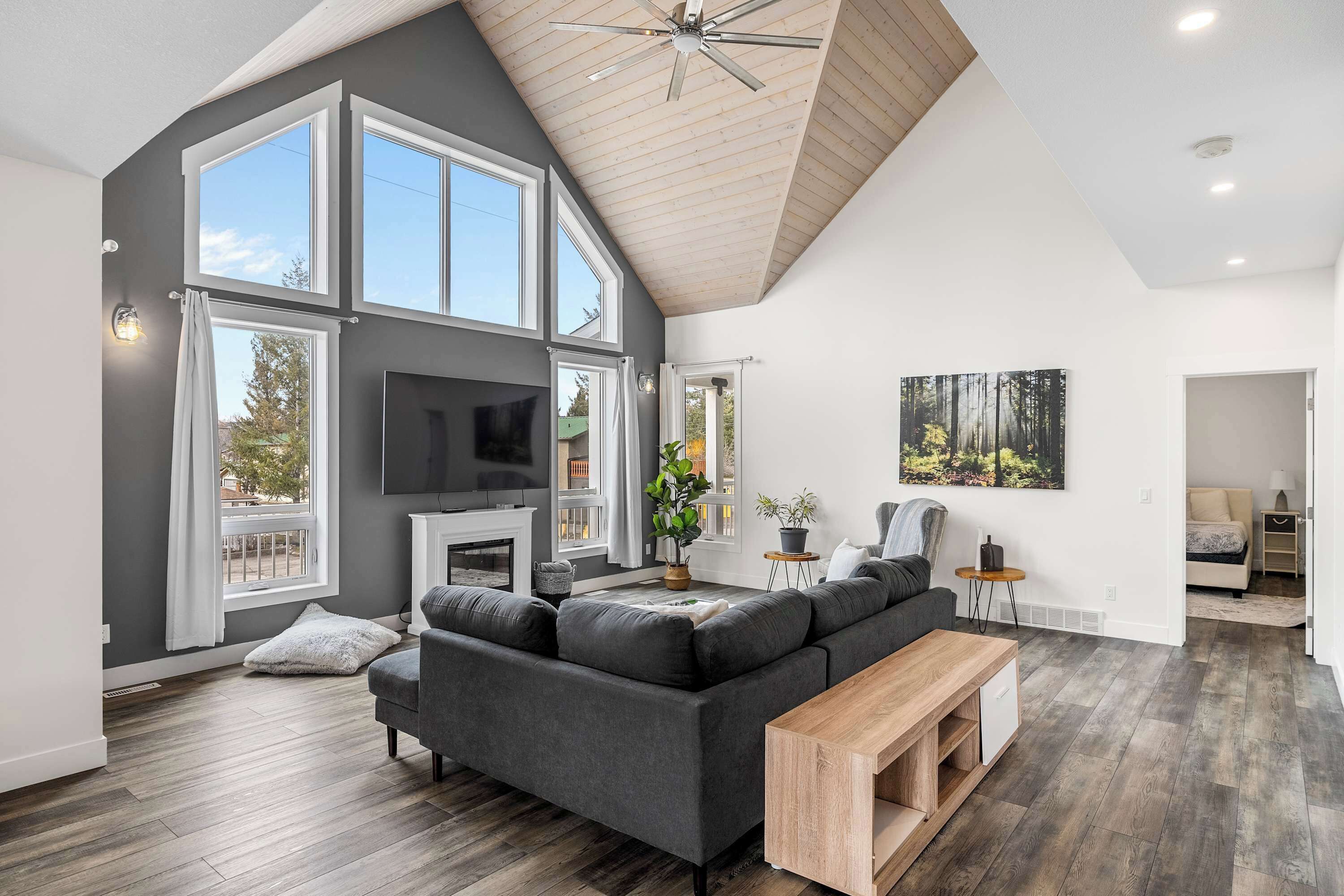 TV, peis, videospill og bøker