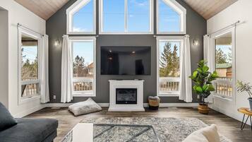 TV, fireplace, video games, books