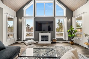 TV, fireplace, video games, books