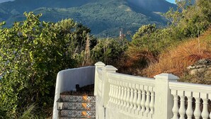 A staircase with patterned tiles leading up a hill, surrounded by greenery and a mountain in the background. - Casa Del Faro (Puerto Galera)