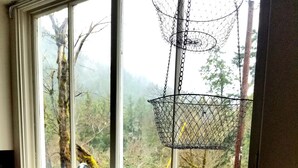 Una cucina con un lavello doppio, una finestra vista alberi e una tenda da cucina appesa.