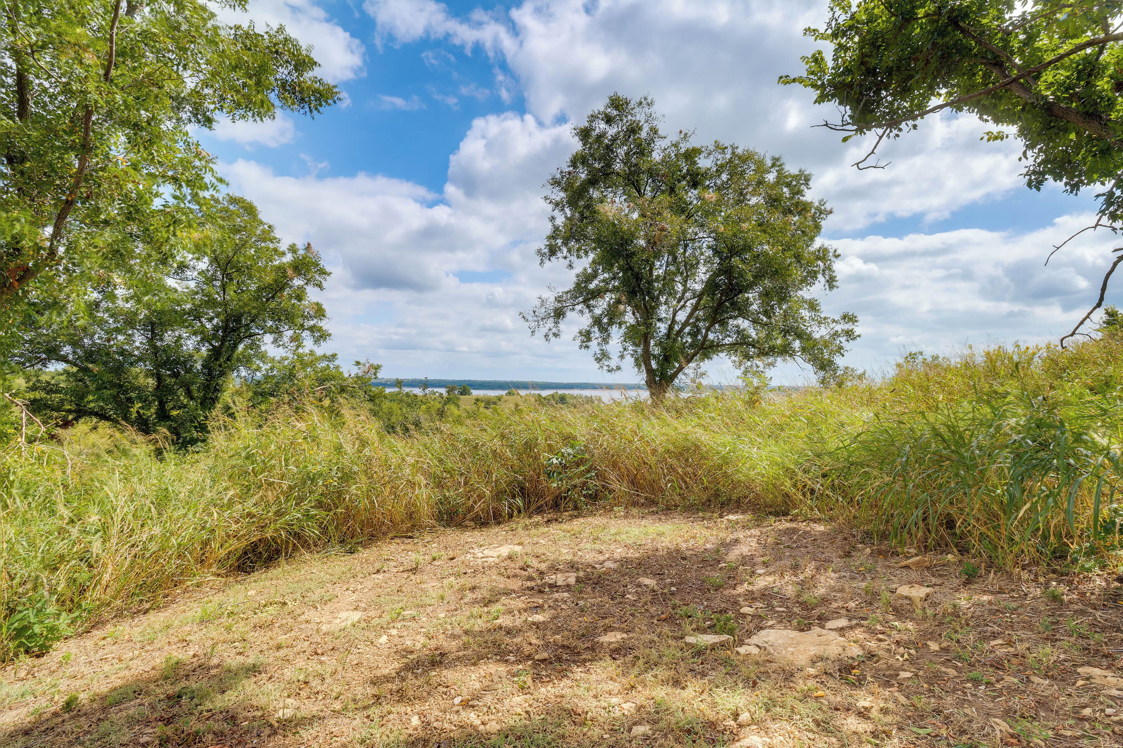 A natural landscape with a dirt path, trees, and a distant view of a body of water.