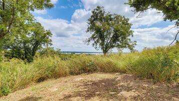 A natural landscape with a dirt path, trees, and a distant view of a body of water.