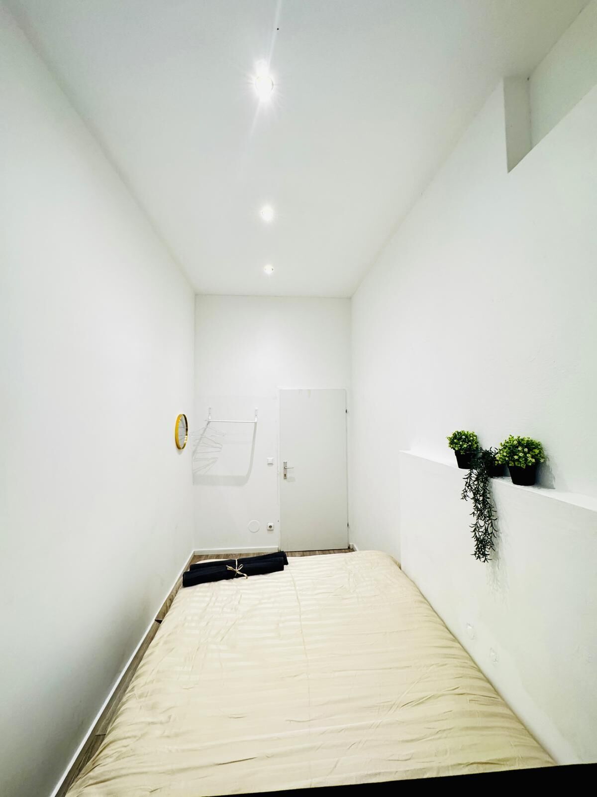 A minimalist room with a bed, a door, and a wall-mounted shelf with potted plants.