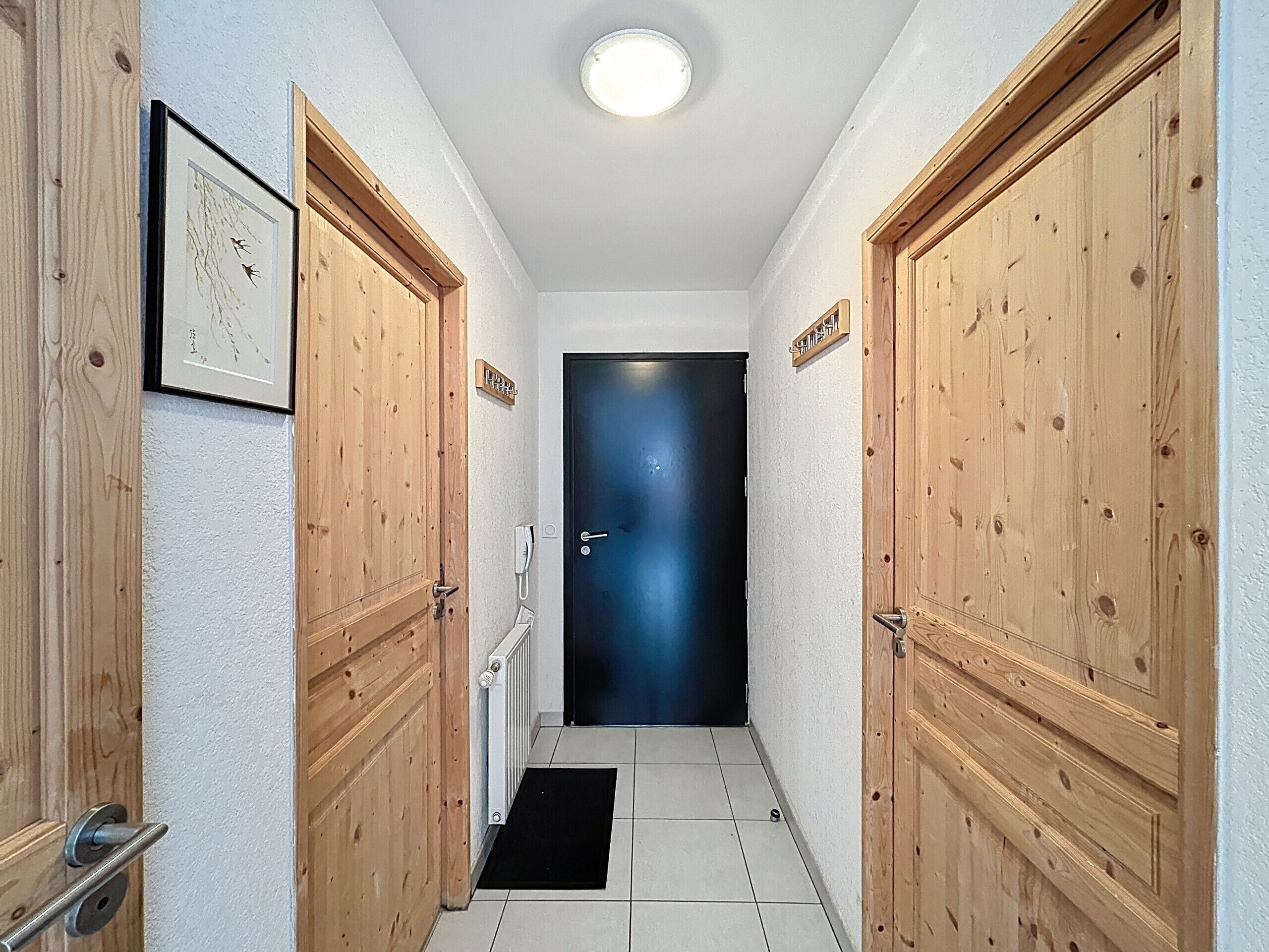 A hallway with wooden doors, a black door at the end, and a framed picture on the left wall.