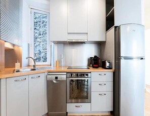 Fridge, microwave, oven, dishwasher - Apartments for 4 People (Grenoble)