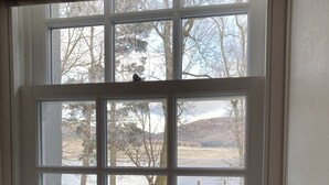 A window with a view of a lake and trees, a chair in the foreground, and a plaid curtain. - Sherrabeg Cottage -  a cottage that sleeps 8 guests in 4 bedrooms (Laggan)