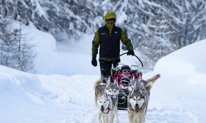 Sukan salji dan ski