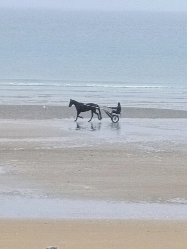 Beach - Close to the sea, south facing (Cabourg)