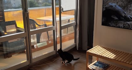 PrĂšs de la mer exposition sud