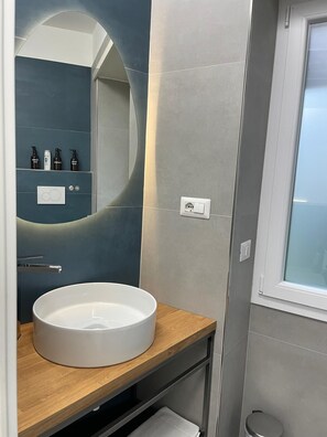 Shower, hair dryer, bidet, towels