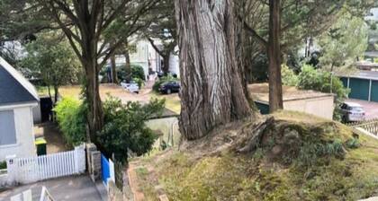 Charming T1 Beachfront