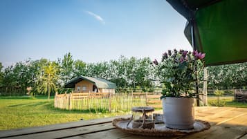 Terrein van de accommodatie