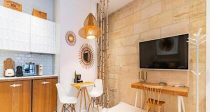 Charming Bordeaux Apartment With Terrace