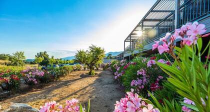 Apartment 4 People - 1 Bedroom - Air Conditioning - Penthouse