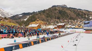 Olahraga salju dan ski