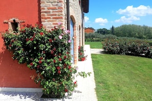 Dettaglio esterni
